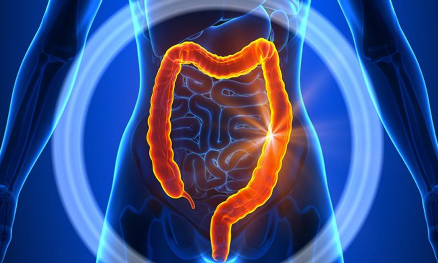 Terapia colon Castano Primo da Idroncolonterapia Milano